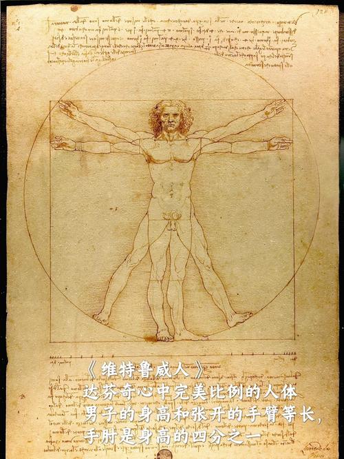 达芬奇人体研究手稿 科学与艺术的完美结合
